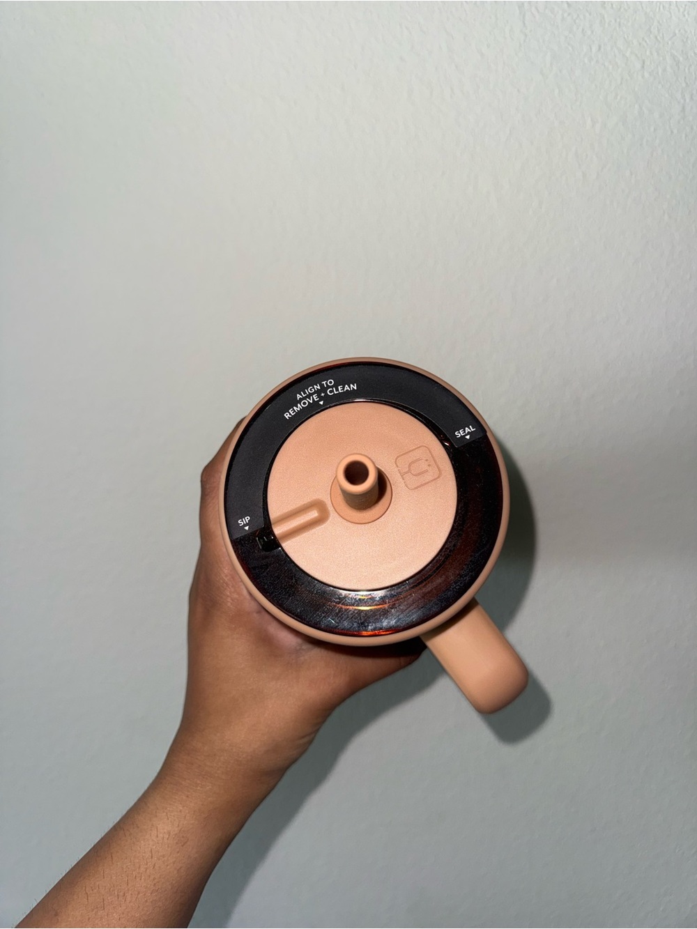 sandstone brumate - Picture 6 of 6